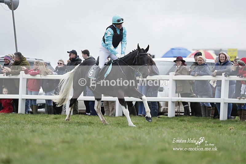 PtP 260323 0217 - New Forest Hounds Point-to-Point Larkhill 26/03/23