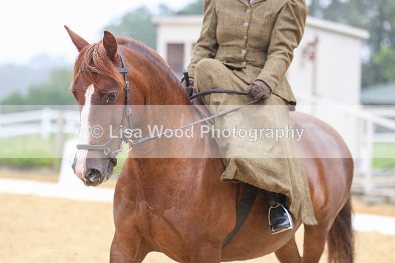 3E7A5483 - Class 2: Intro 4 2024 section B