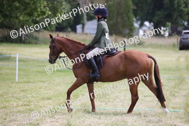 20260614-2110 - Class 21 - Novice Working Hunter Pony