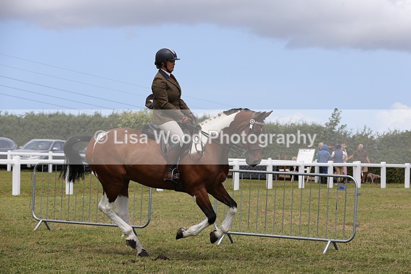 1X9A4365 - Class 34: Veteran Ridden