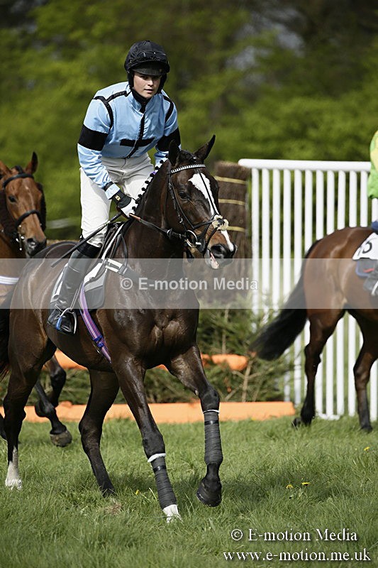 PtP 170417 270 - Old Berks Point-to-Point Lockinge 17/04/17