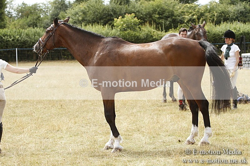 _BS_0967 - BVRC Show 2018 Ring 3