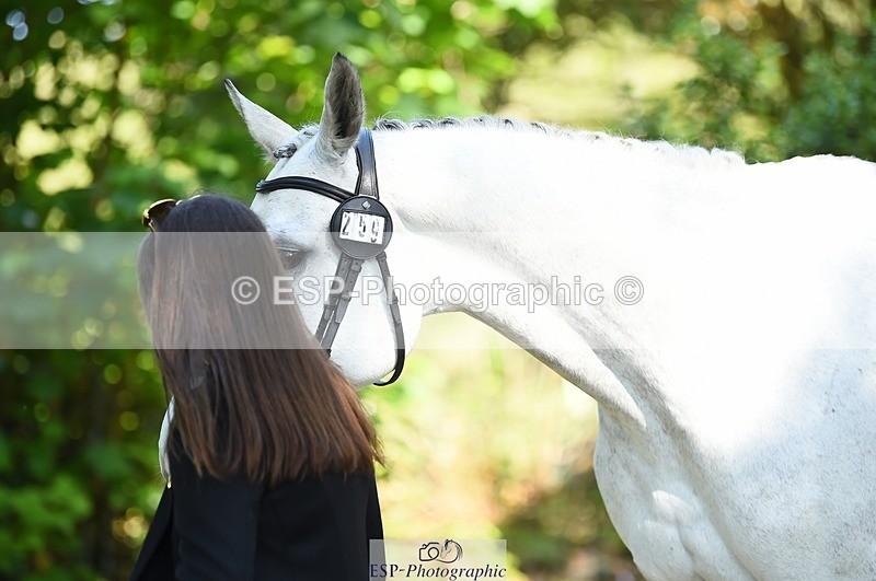 230524-161456-00791 - 259-KATE_BLUE-Millie_Juleff-WEDTrotUp+DR