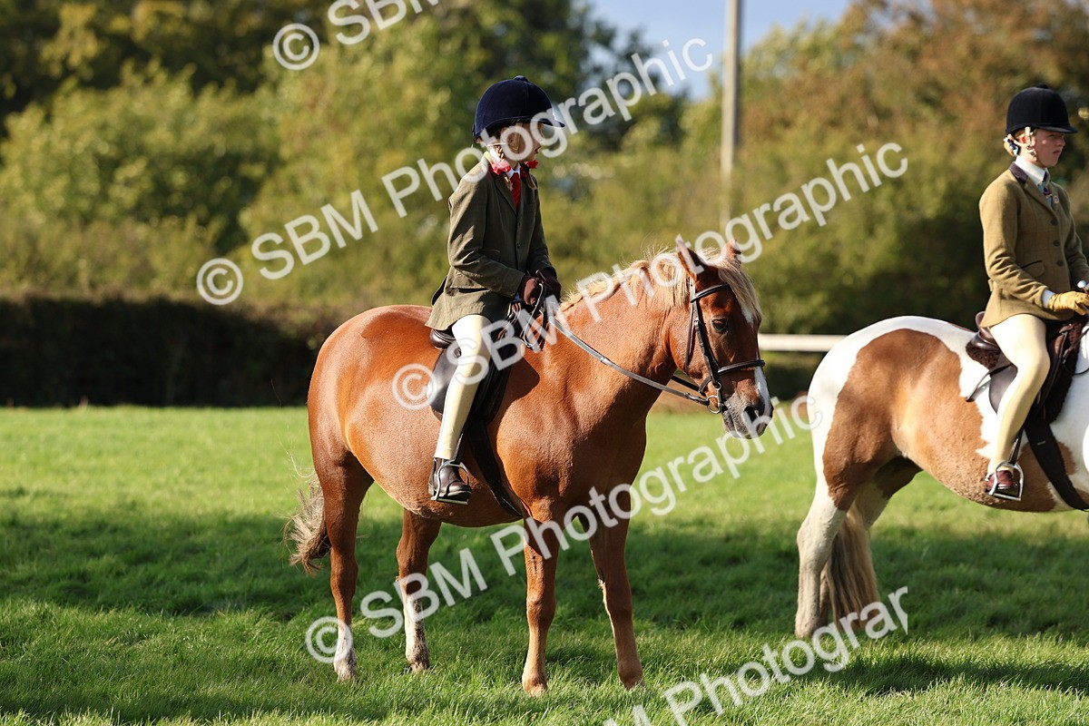 SBM_52470 - S13 - Pony Club Pony