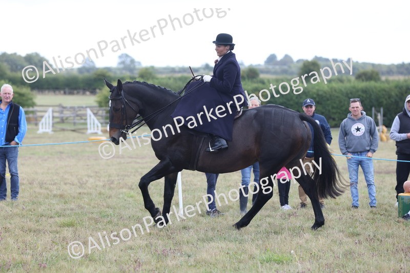 20250831-1199 - Class 15 - Ridden Veteran