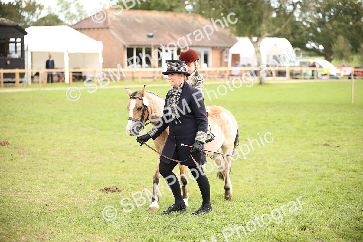 SBM_50017 - S26 - Young Veteran - Ridden