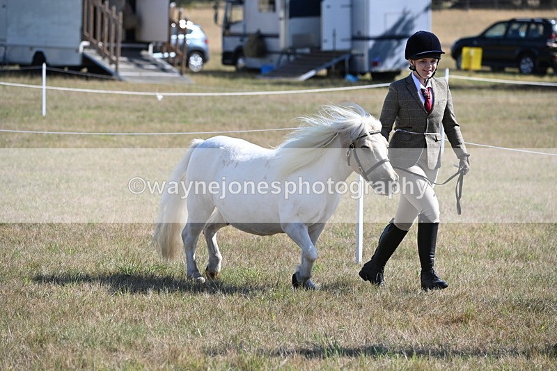 WJ6_4188 - Class 16 Condition & Turn Out