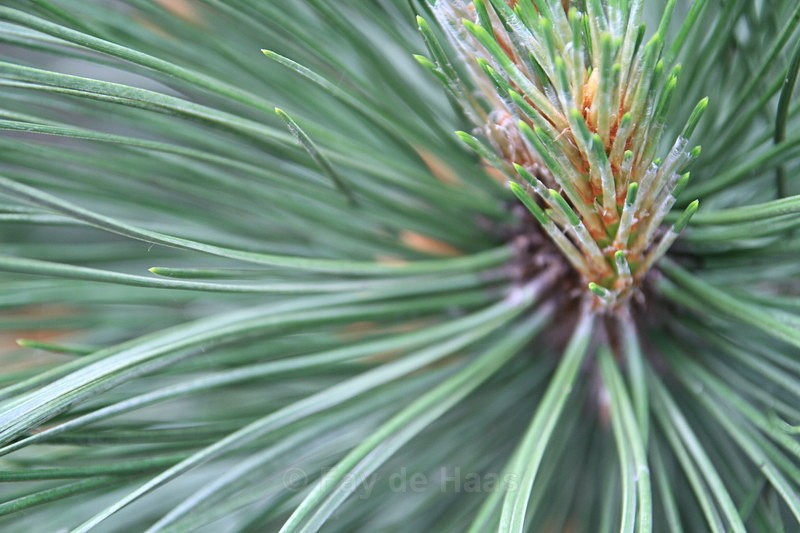 - Nature's Wonders