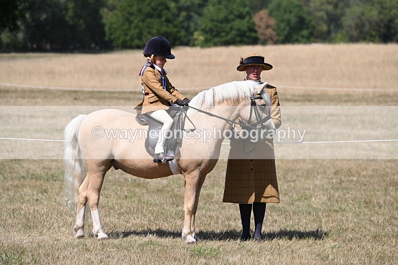 WJ6_9114 - Championship Classes 33-38