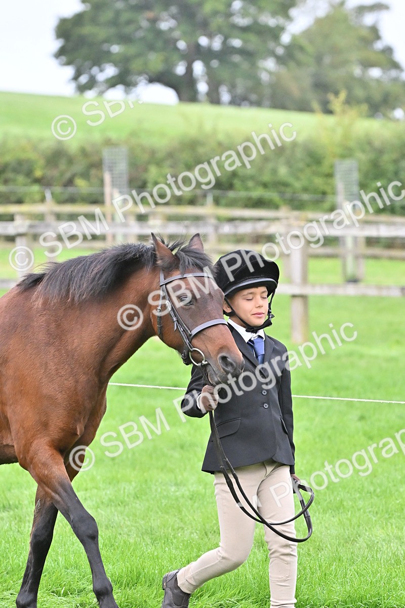 SBM_60918 - S48 - Mountain & Moorland In Hand Small Breeds