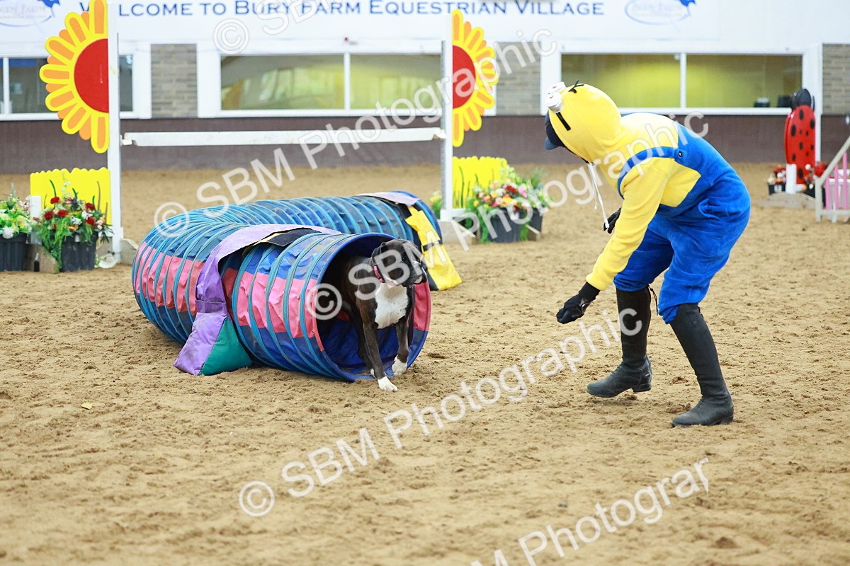 SBM_002242 - Class 3 - Horse & Hound (60cm)