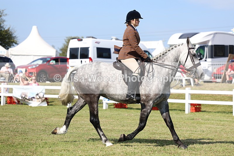 3E7A6000 - Class 3: Rising Star S/L Hunter
