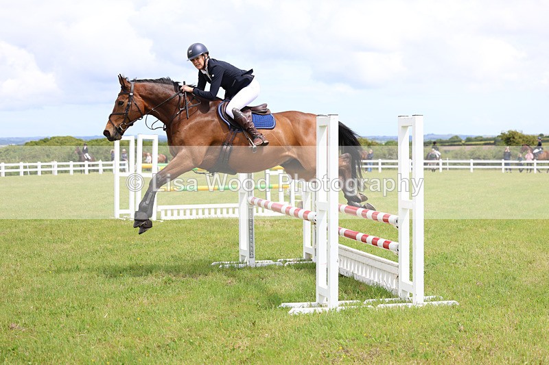 3E7A7282 - Class 13: Senior British Novice/90cm open