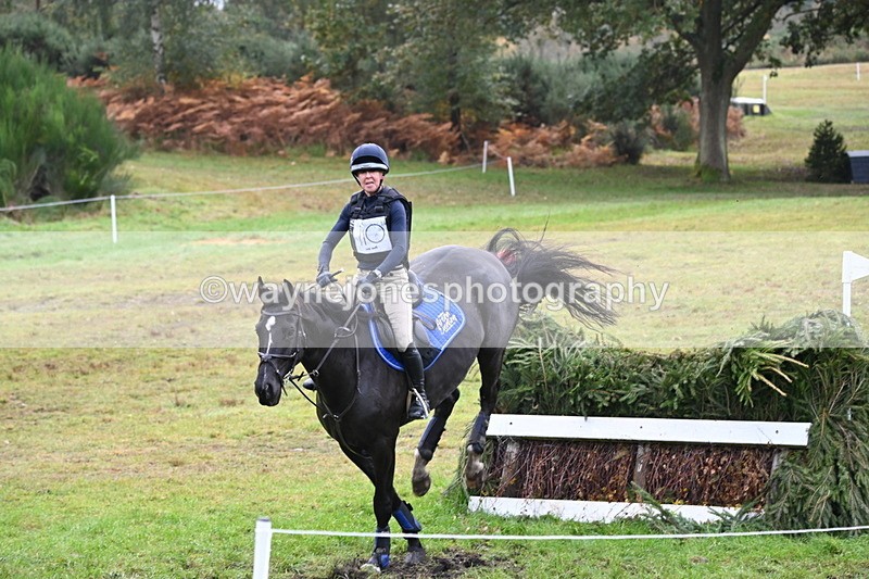 WJ6_1795 - 80cm Cam 1 Time 10:08 to 10:45