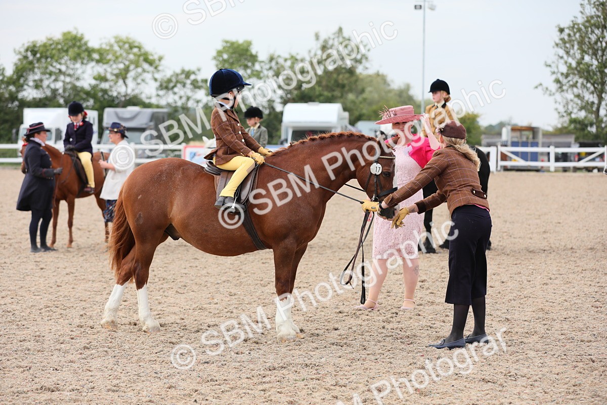 SBM_16885 - Class 314 Family Horse/Pony