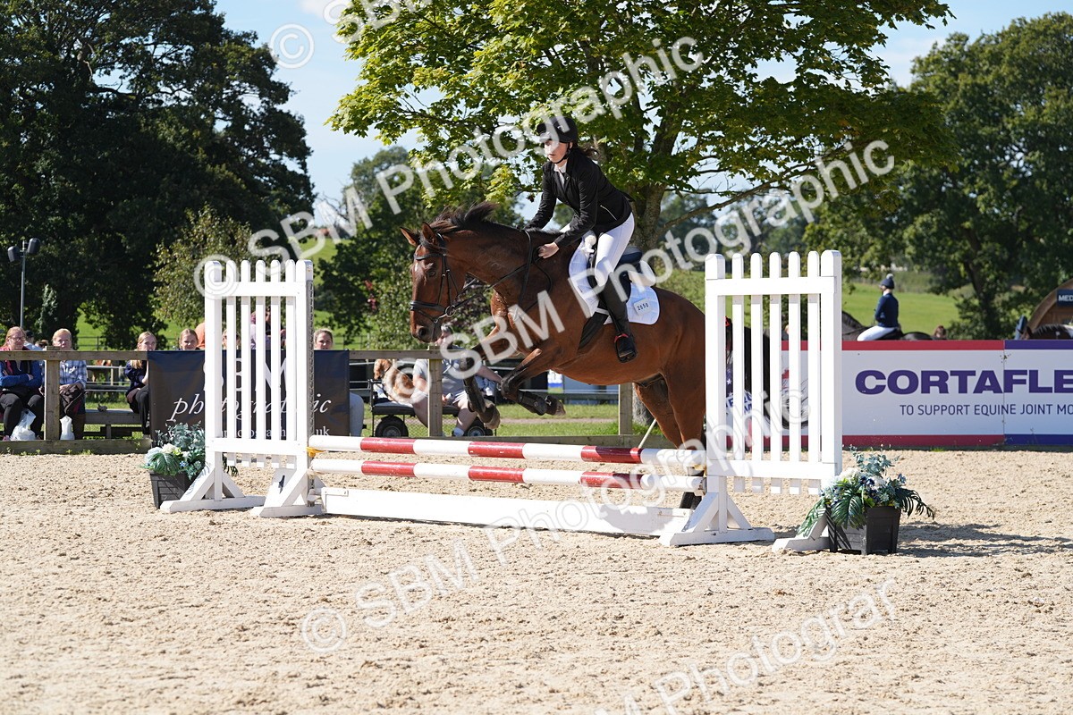 SBM_38791 - J21 - Junior Horse 60cm Championship