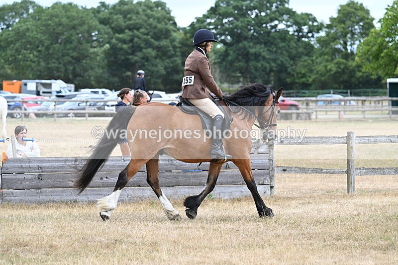 WJ7_0502 - Class 6 Ridden Mountain and Moorland