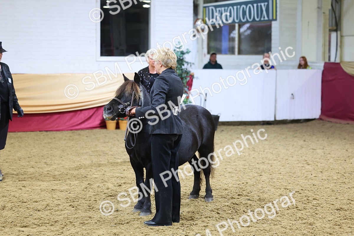 SBM_19711 - Class 901 - Supreme Final - IH Diamond