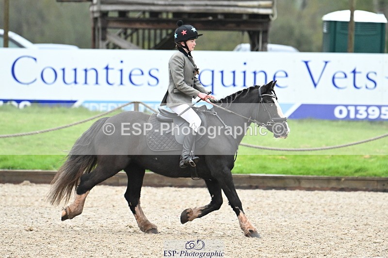 250418A-081210-00040 - NSEA GR 40cm and 50cm