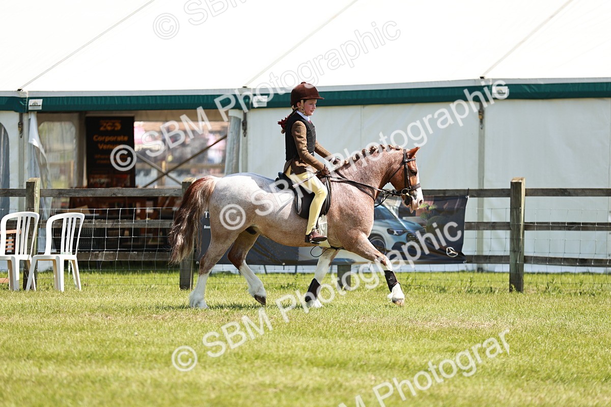 SBM_13511 - Class 108-109 - BSPS LIHS Open Gradle & Nursery Stakes