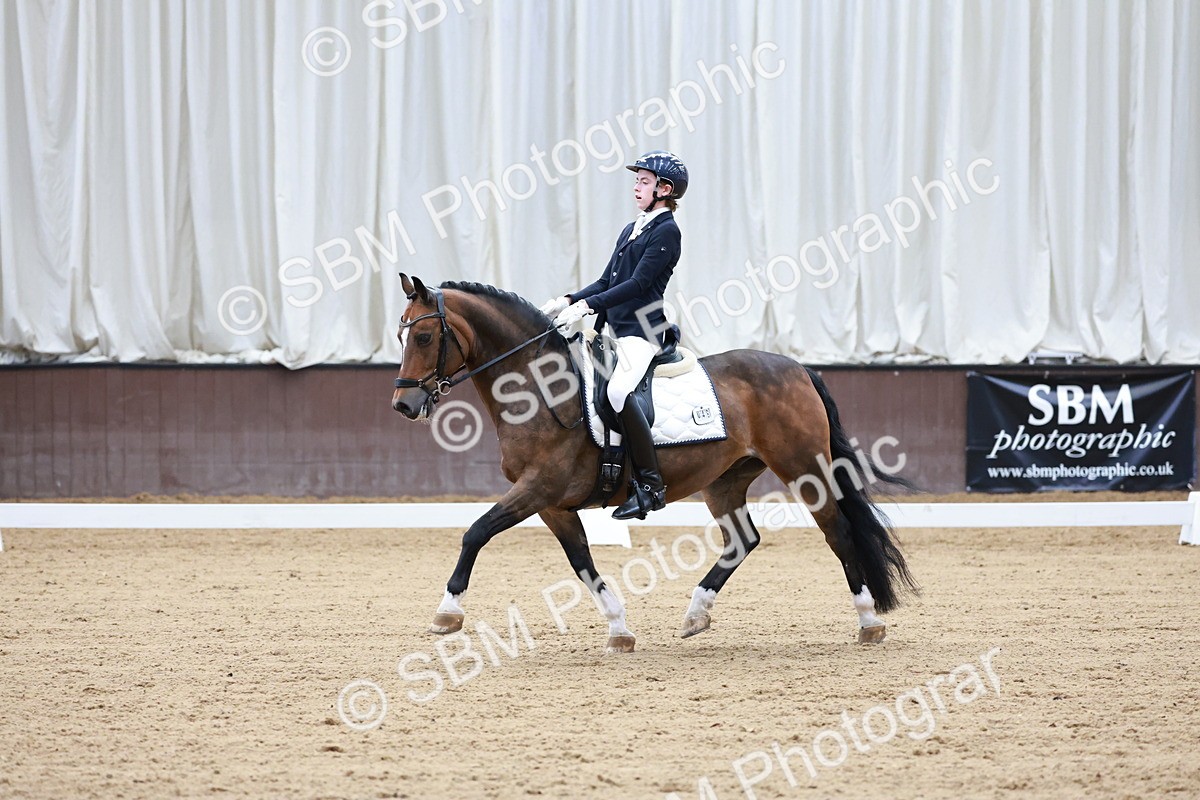 SBM_017148 - Class15 - FEI Pony
