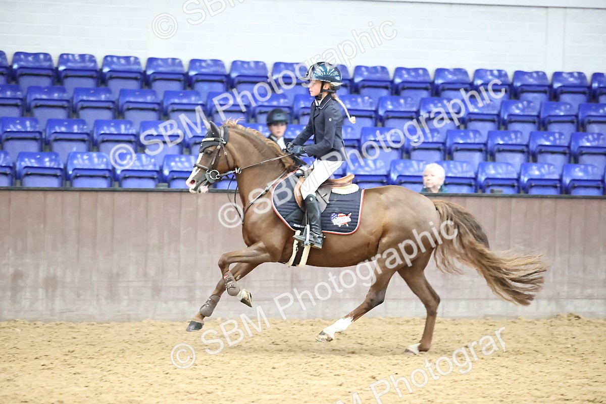 SBM_001084 - Class 3 - Springboard 128cm 138cm Restricted handicap 85cm 95cm