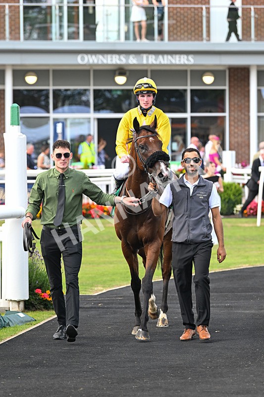 020825-Race 4-Moulin Booj-3158 - Race 4