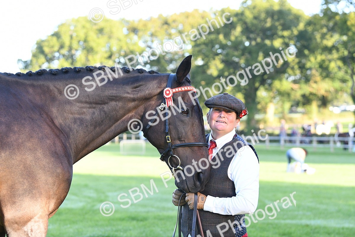 SBM_32749 - S15 - Condition & Turnout In Hand