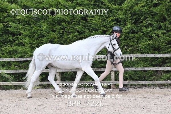 BPP_7220 - RING 1  (RIDDEN HORSES / IN HAND / VETERAN ETC)