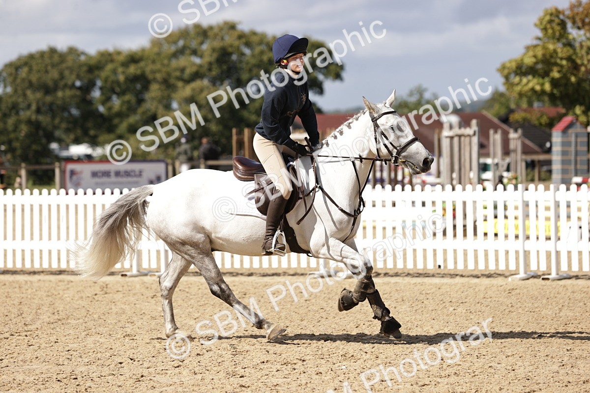 SBM_22409 - J59 - Clear Round 85cm