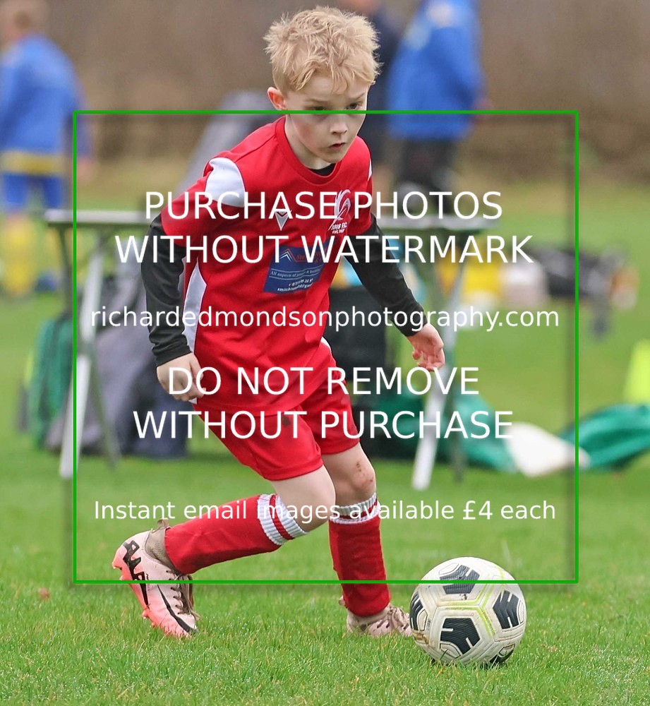 533A0790 - Ibis Under 7's (28/2/26)