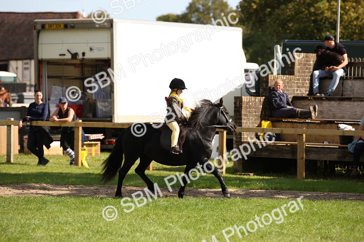 SBM_40899 - Fun Showing Supreme Championship