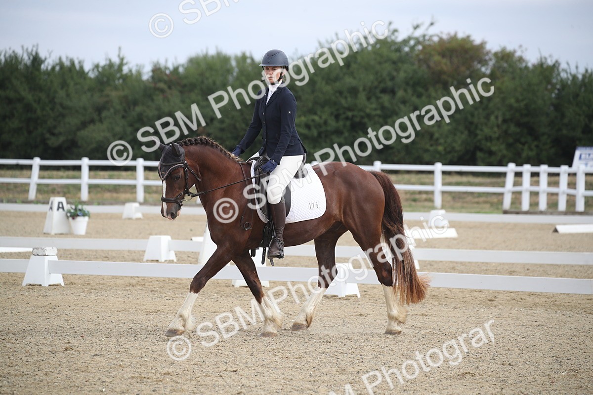 SBM_005431 - Novice 5 - 8.30.10.39