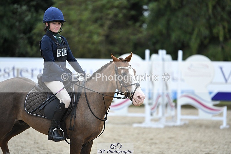 230827-114024-24148 - SJ 11.30 to End