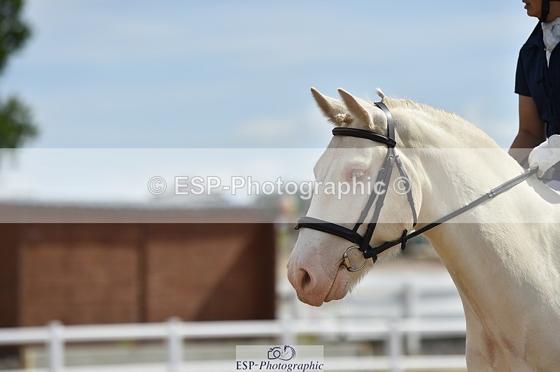 250622-101836-12917 - Quest Cls 19-24 Intro Tests