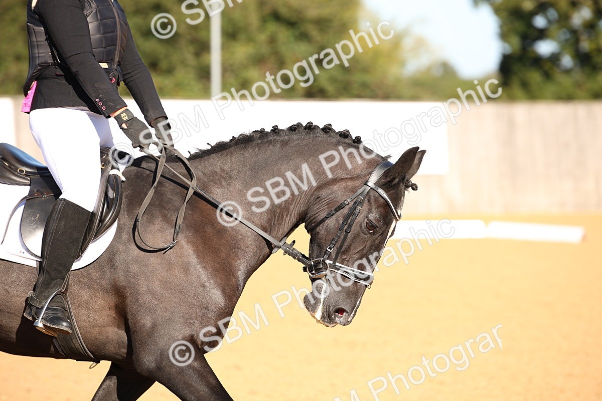 SBM_01849 - D2 Small Tour Championship Intro C