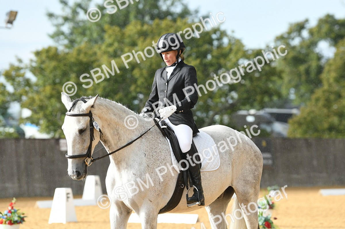 SBM_11166 - D28 Elementary Taster Elementary 42