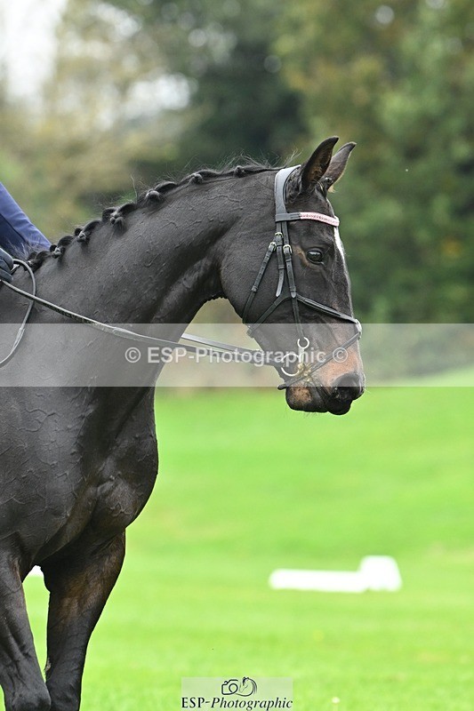 241024-150537-04700 - 423-Alexandra.Erskine.Scott-PRIMITIVE.DAYLIGHT