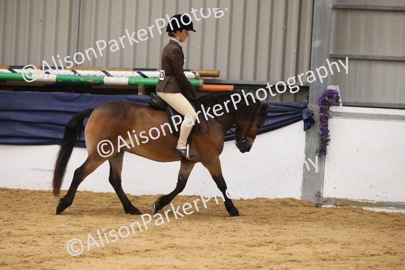 20260913-0603 - Class 126 - Novice Ridden