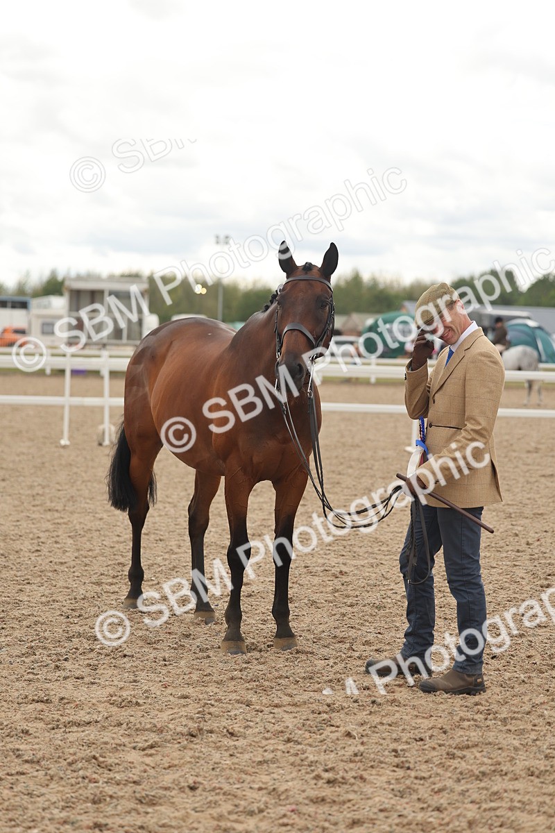 SBM_17153 - Class 313 - IH Retired Racehorse