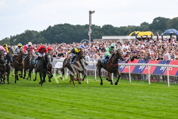 260725-Race 6-Billyb-7884 - Race 6 4.25pm Sky Bet Go-Racing-In-Yorkshire Summer Festival Handicap