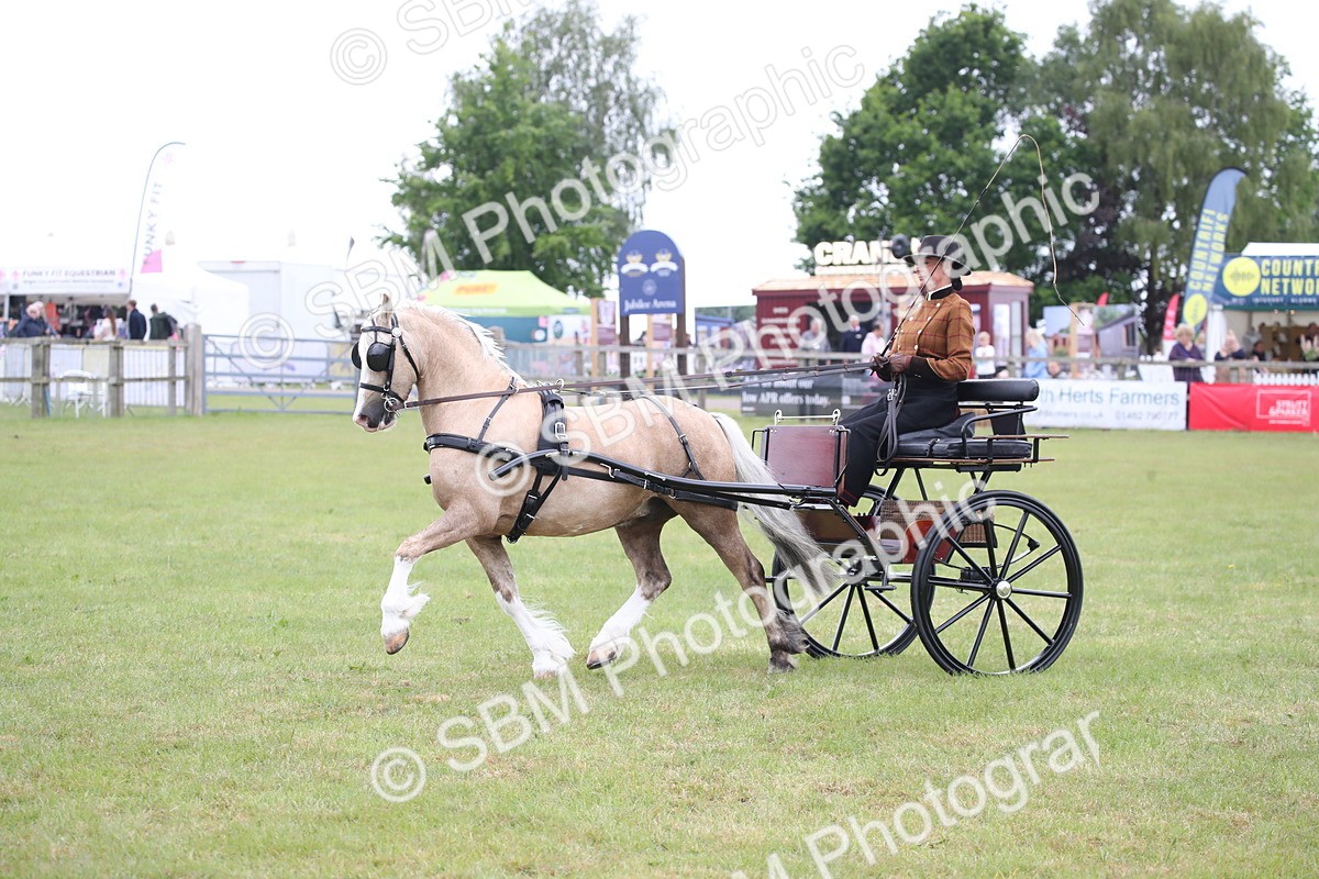 SBM_05637 - Class 12-15 - HOYS Private Driving
