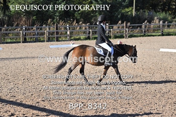 BPP_8342 - LONG ARENA