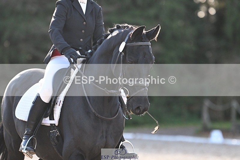 231110-124617-00785 - Cls 3 Novice 22