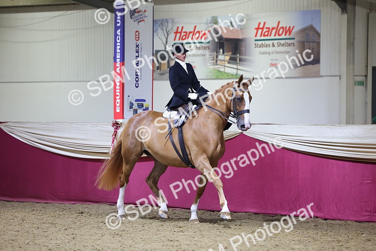 0B8A4224 - Class L Side Saddle Champ