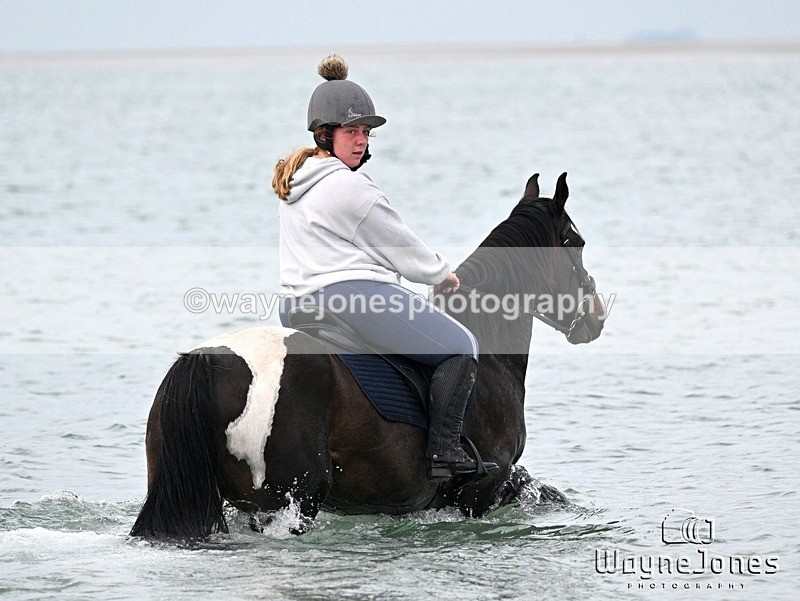 WJ7_9540 - Hayling Island Beach Shoot 22-09-24