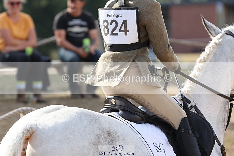 250803A-171642-17807 - R-824-Poppy.Wilkinson-DAISY.DER.BLUME