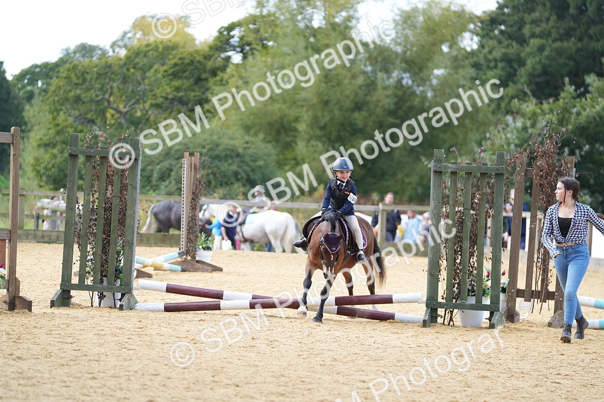 SBM_64456 - J2 - Mini Tour Junior Pony 30cm Championship