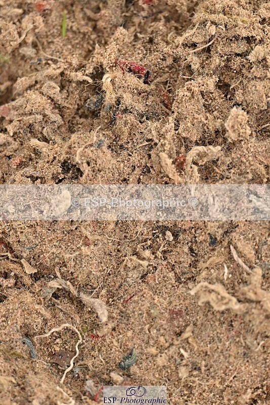 241215-141311-01196 - 1m