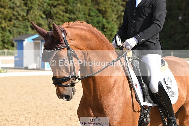 250808A-170420-02235 - Preliminary GOLD Presentations